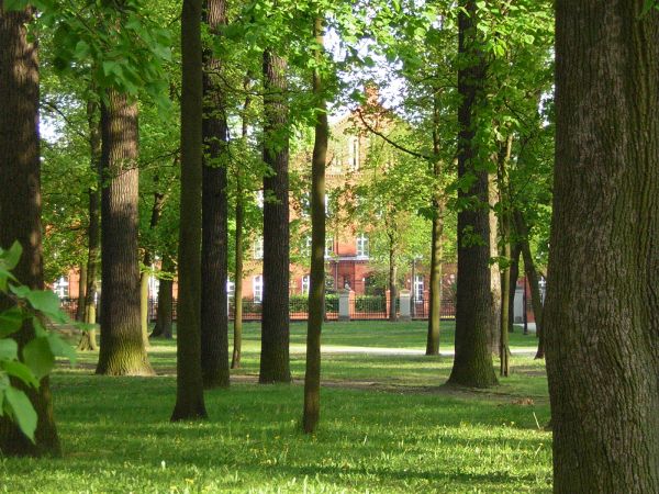 zdjecie Sulechów