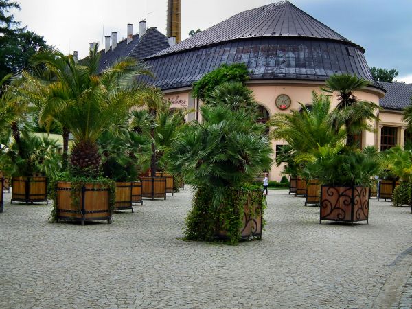 zdjecie Kudowa-Zdrój