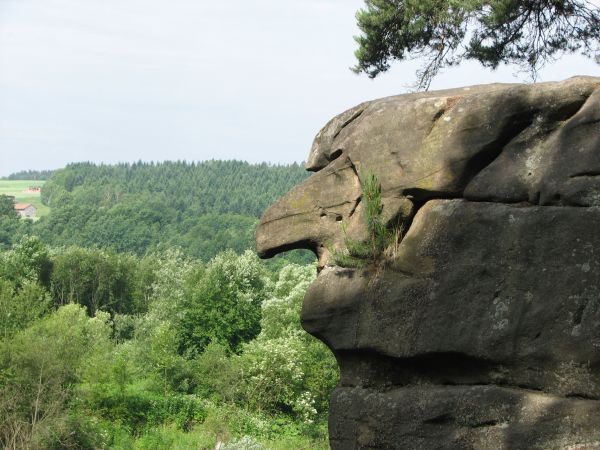 zdjecie Ciężkowice