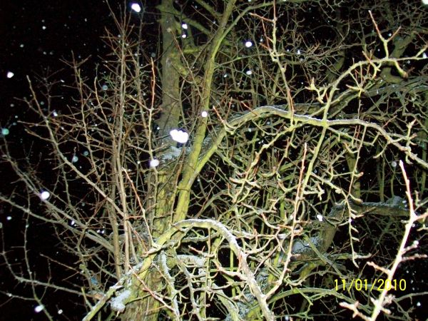 Okolice Potoka zimą