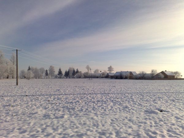 zdjecie Borawskie-Awissa