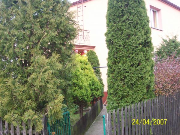 zdjecie Kamienica Królewska