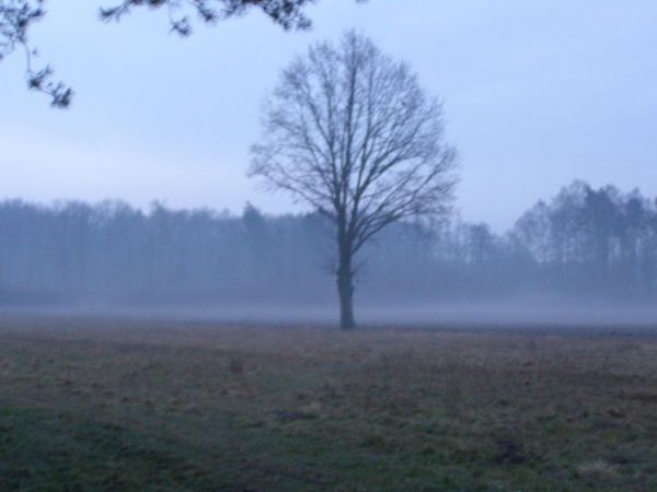 zdjecie Zalesie Górne