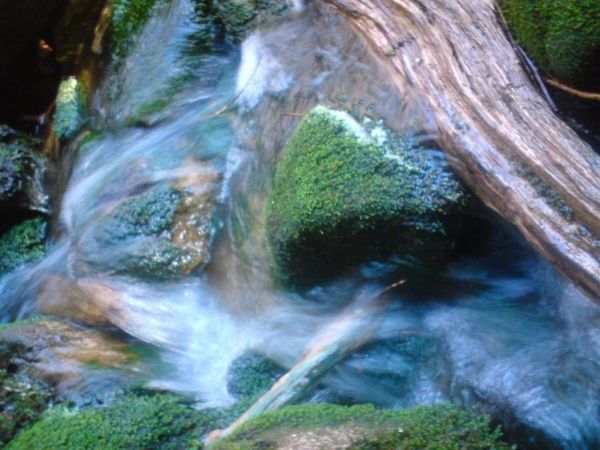 zdjecie Strzebielino