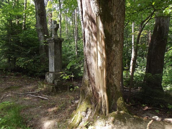 krzyż pańszczyźniany - przy temacie : polecam galerię m. Średnia Wieś.