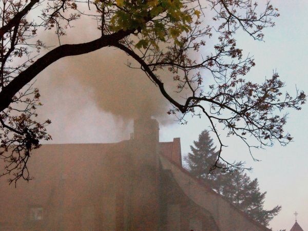 Ekologia w Sulęcinie