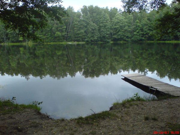 Jezioro Małe- Leśne NA TERENIE LEŚNICTWA BOBRY,  ZATORZE GAMEREK WIELKICH.
