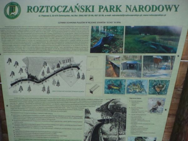 ROZTOCZAŃSKI PARK NARODOWY
