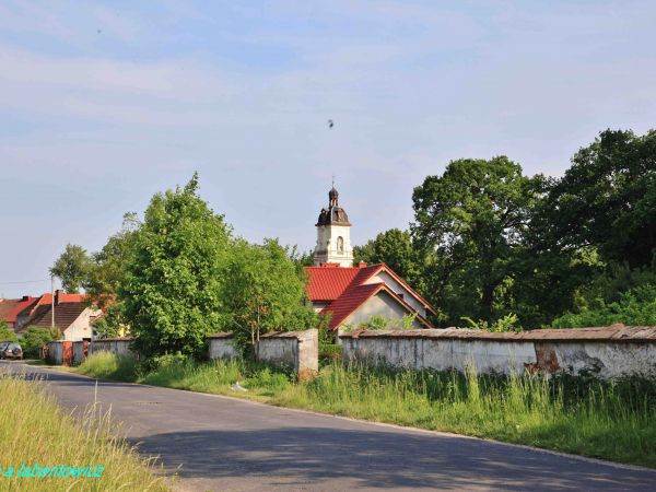NIEDŹWIEDZICE - WIEŚ POŁOŻONA  W  WOJEWÓDZTWIE  DOLNOŚLĄSKIM, pow. LEGNICKI,  gm.  CHOJNÓW