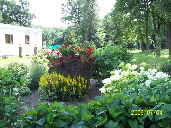 Ośrodek Wypoczynkowy w Bąkowie