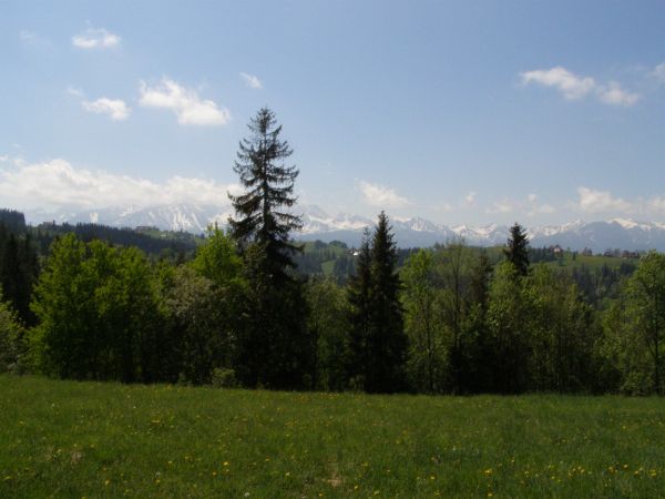 Gliczarów Dolny - widok na Tatry