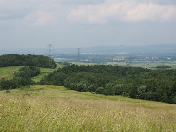 ze zbocza pasma g. Winiarskiej - 528m npm, widok na okolice Krosna : Rogi, Miejsce Piastowe, Zamek Odrzykoński.
