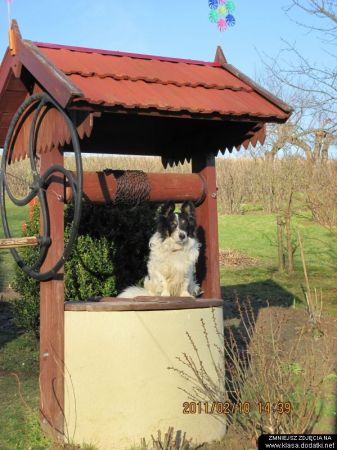Misiu oczekuje wiosny