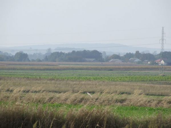 zdjecie Małochwiej Mały