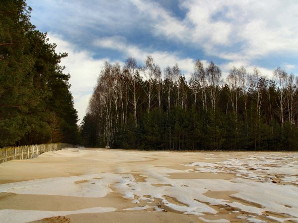 zdjecie Tyniewicze Duże