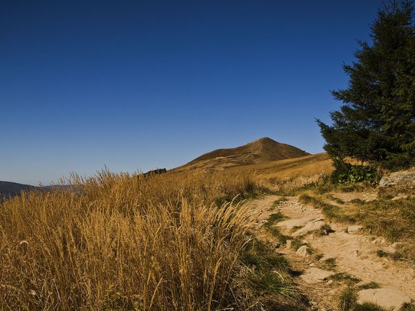 Połonina Caryńska-Ustrzyki Górne