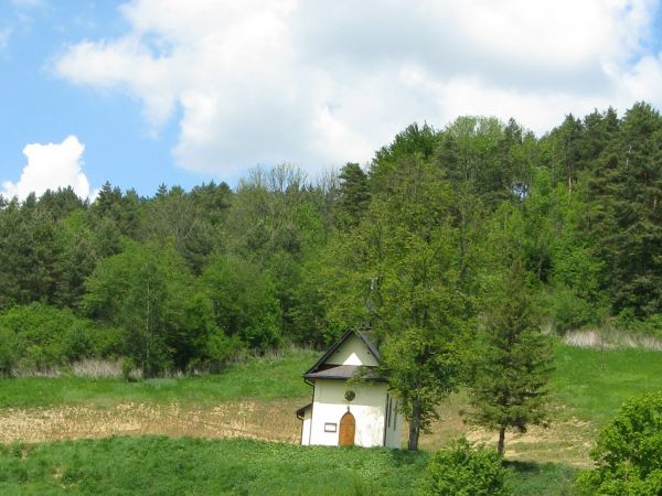 zdjecie Żernica Wyżna