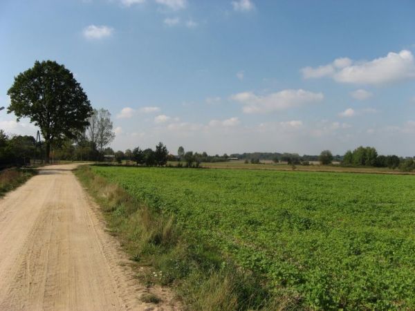 Zdjęcia Wola Kuźniewska