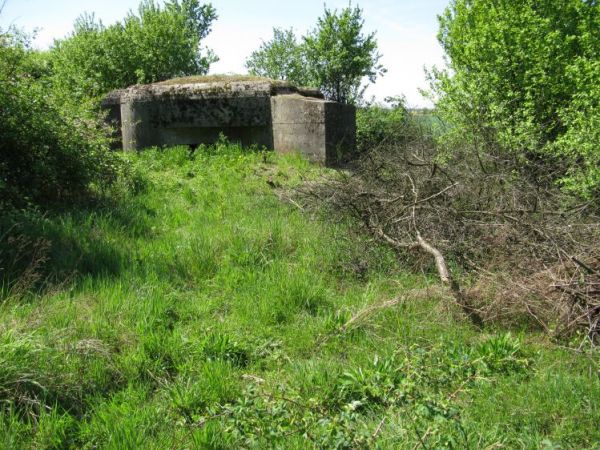 Schron nr 2 Armii "Poznań" z 1939r. Tradytor dwustronny. Widok od strony polnego duktu wiodącego w kierunku schronu. PUNKT OPORU DOBIESZEW(K)O.