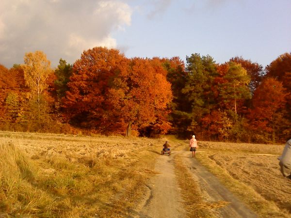 zdjecie Wiszenki-Kolonia