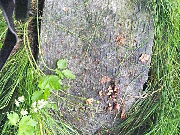 Na zdjęciu jest pomnik leży w trawie pomnik chyba polskiego generała General v Troski z roku 1886 w Internecie nic ciekawego nie znalazłem co robił z kim walczy