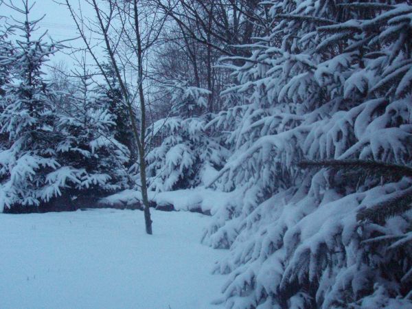 zdjecie Chrząchówek