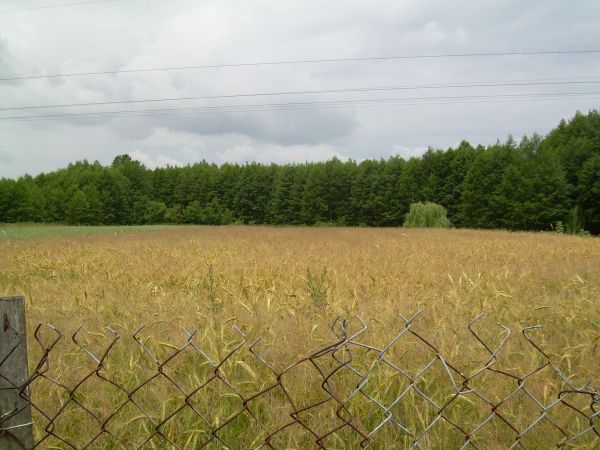 Ciechanów   lipiec 2008