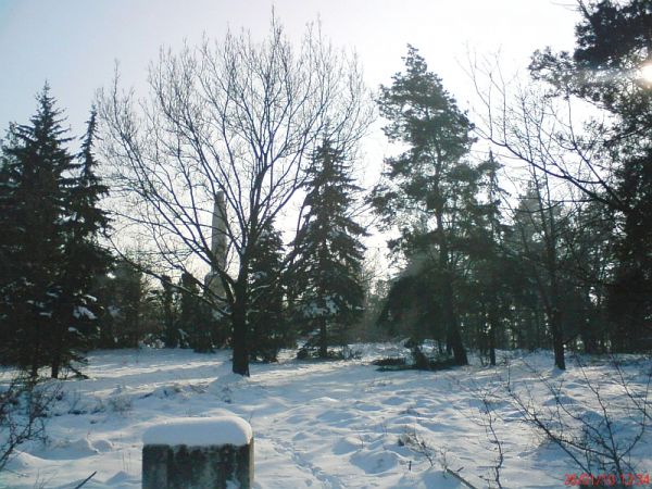 Cmentarz Wojenny - od "zaplecza"!