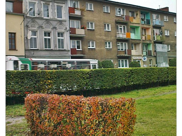 zdjecie Sulechów