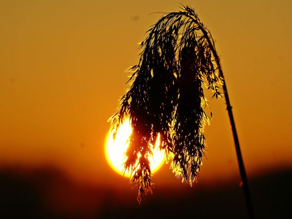 Wschód słońca nad jeziorem Sławianowskim w Buntowie