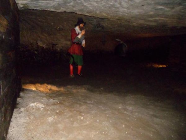na tle zielonych portek - czarny ogon widać, pędzlem zakończony - w przebraniu jest, udaje kogoś, jakiś interes do górnika ma, jakąś ofertę - jeno podpisik złoż