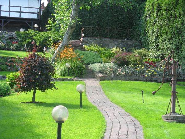 Łopienno,ładny ogród.