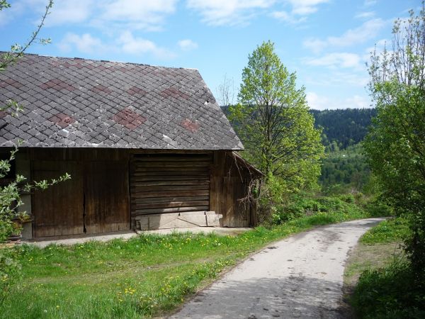Stara zabudowa gospodarcza na Pieronówce.