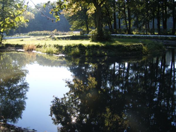 zdjecie Stare Kurowo