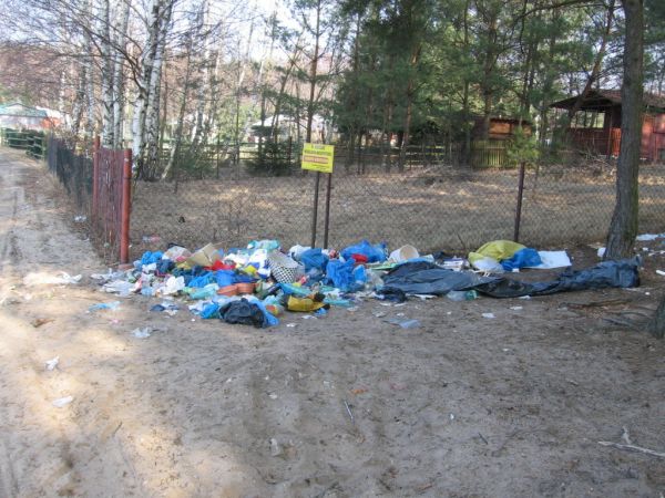 Niezbyt ciekawy widok po zimie nad jeziorem w Szczekarzewie