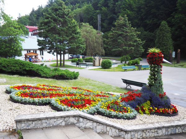 przy deptaku - w ciągu spacerowym pięknie nasadzony skwer kwiatowy , dalej niedźwiadek przy ławkach , centralnie pomnik źródeł a po lewej "Zielony Domek".