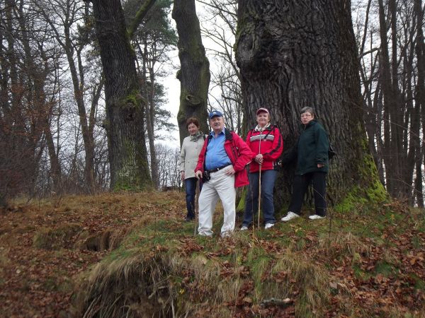 urwana połać parku dworskiego a poza zdjęciem : kamienisty, wysoki brzeg Sanu.