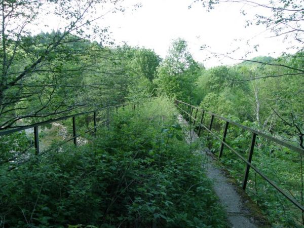 Siła natury-  Most kolejki wąskotorowej pod Duszatynem