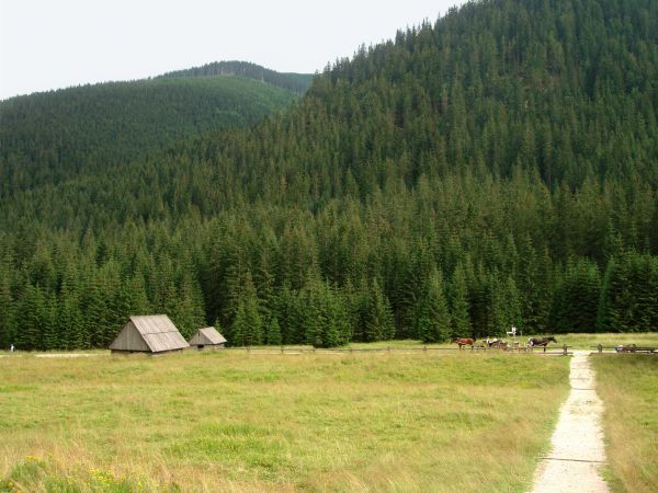 Dolina Chochołowska, Kościelisko