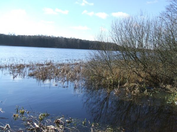 Jezioro Meszno-raj dla wędkarzy i ptactwa,bywa tu dużo żurawi