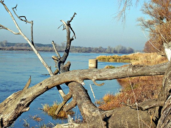 Silno n/Wisłą - 720 km jej długości i pozostałości XIXw. wodowskazu.