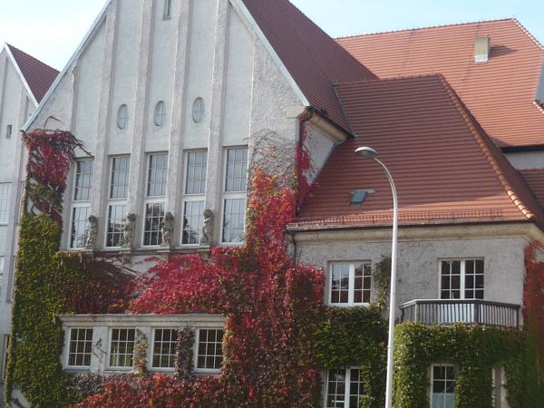 zdjecie Ostrów Wielkopolski