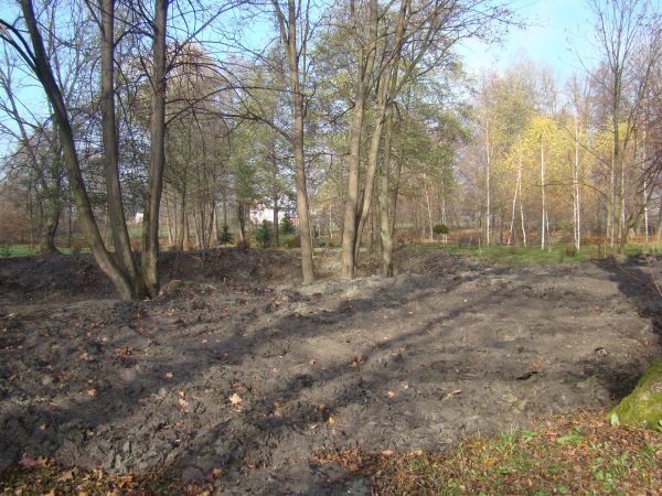 staw jeden jest rekultywowany a na zdjęciu : grunt ze stawu wybrany ale o wysokich parametrach użyźniających wzbogaci - "jak konfitura" podłoże dla parkowego ru