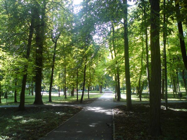 Park Zdrojowy
