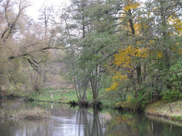 zdjecie Starogard Gdański