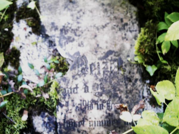 Stary Cmentarz Ewangelicki.