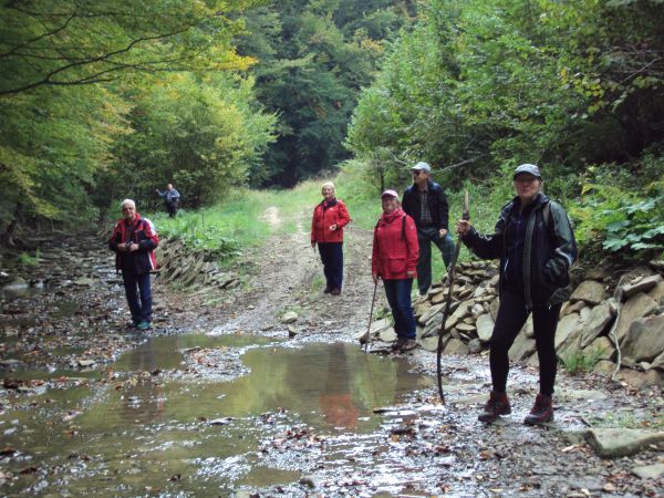 "Szlakiem Siedmiu Potoków" - chcieliśmy, to mamy - dobrze że nie wezbrane,  w drodze z Myczkowa do Soliny.