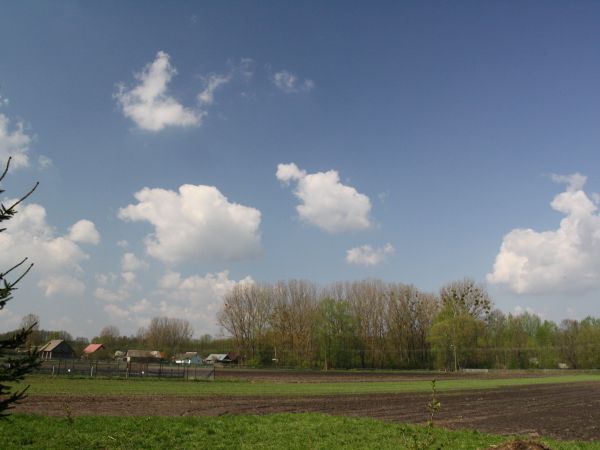 zdjecie Tyniewicze Duże