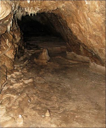 Jaskinia Niedżwiedzia (8)