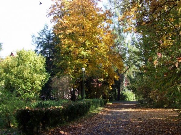 Pałacowy park jesienią